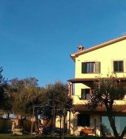Di Palma *